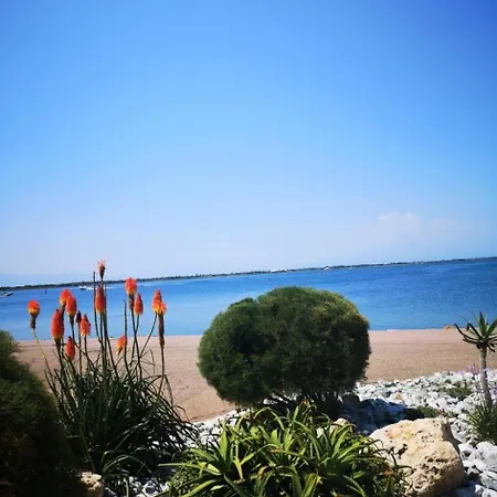 Apartament Palmyra - T2 Au Rez-de-chaussee A Le Barcares-cap Coudalere Mae-9491 *