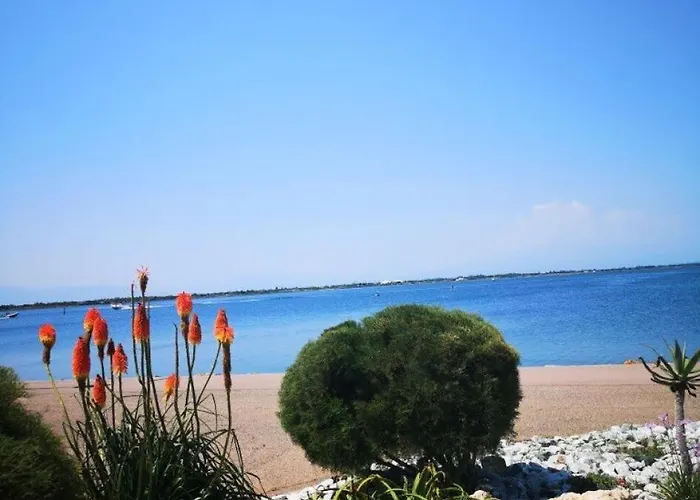 Daire Palmyra - T2 Au Rez-de-chaussee A Le Barcares-cap Coudalere Mae-9491 *